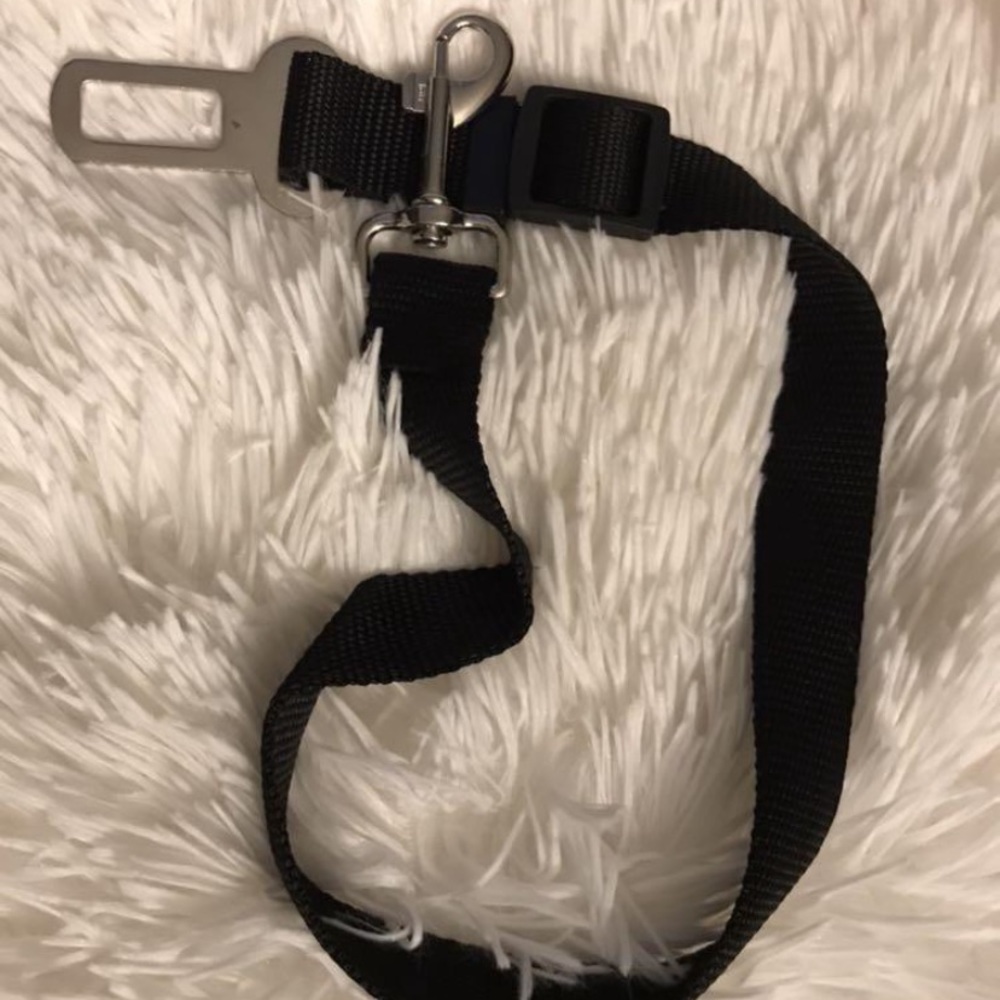 Dog leash car restraint - Picture 1 of 1